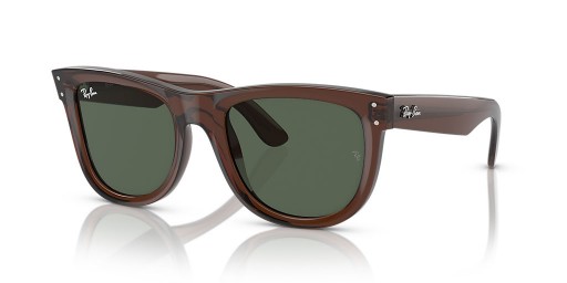 Ray-Ban RBR0502S Wayfarer Reverse S (50 - 22) / Green lenses and Brown frame Sunglasses