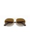 Ray-Ban RB3549 XL (61 - 16) / Brown lenses and Gold frame Sunglasses