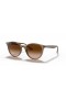 Ray-Ban RB4305 M (53 - 19) / Brown lenses and Beige frame Sunglasses