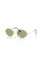 Ray-Ban RB3547 Oval Metal Summer Capsule M (51 - 21) / Green lenses and Gold frame Sunglasses