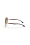 Ray-Ban RB3683 L (56 - 15) / Brown lenses and Gold frame Sunglasses