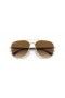 Ray-Ban RB3683 L (56 - 15) / Brown lenses and Gold frame Sunglasses
