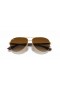 Ray-Ban RB8313 Carbon Fibre XL (61 - 13) / Brown lenses and Gold frame Sunglasses