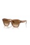 Ray-Ban RB2186 State Street L (52 - 20) / Brown lenses and Tortoise frame Sunglasses