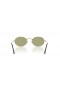 Ray-Ban RB3547 Oval Metal Summer Capsule M (51 - 21) / Green lenses and Gold frame Sunglasses