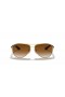 Ray-Ban RB8313 Carbon Fibre XL (61 - 13) / Brown lenses and Gold frame Sunglasses