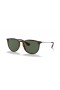 Ray-Ban RB4171 Erika Classic M (54 - 18) / Green lenses and Tortoise frame Sunglasses