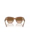 Ray-Ban RB2186 State Street L (52 - 20) / Brown lenses and Tortoise frame Sunglasses