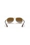 Ray-Ban RB3549 XL (61 - 16) / Brown lenses and Gold frame Sunglasses