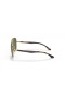 Ray-Ban RB3683 L (56 - 15) / Green lenses and Gold frame Sunglasses