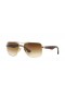 Ray-Ban RB3483 L (60 - 16) / Brown lenses and Gold frame Sunglasses