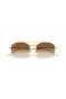Ray-Ban RB3719 L (54 - 20) / Brown lenses and Gold frame Sunglasses