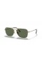 Ray-Ban RB8136 Caravan Titanium XL (58 - 15) / Green lenses and Gold frame Sunglasses