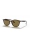 Ray-Ban RB4305 M (53 - 19) / Brown lenses and Tortoise frame Sunglasses