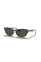 Ray-Ban RB4314N Nina M (54 - 18) / Green lenses and Black frame Sunglasses
