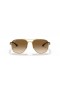 Ray-Ban RB3683 L (56 - 15) / Brown lenses and Gold frame Sunglasses