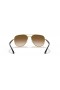 Ray-Ban RB3683 L (56 - 15) / Brown lenses and Gold frame Sunglasses
