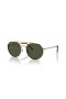 Ray-Ban RB3765 L (53 - 22) / Green lenses and Gold frame Sunglasses