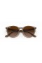 Ray-Ban RB4305 M (53 - 19) / Brown lenses and Beige frame Sunglasses
