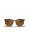 Ray-Ban RB4306 L (54 - 19) / Brown lenses and Tortoise frame Sunglasses