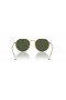 Ray-Ban RB8165 Jack Titanium M (53 - 20) / Green lenses and Gold frame Sunglasses