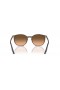 Ray-Ban RB2204 L (54 - 20) / Pink lenses and Brown frame Sunglasses