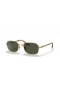 Ray-Ban RB3690 M (54 - 21) / Green lenses and Gold frame Sunglasses