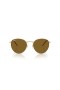 Ray-Ban RBR0103S Round Reverse L (53 - 21) / Brown lenses and Gold frame Sunglasses