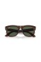 Ray-Ban RBR0502S Wayfarer Reverse S (50 - 22) / Green lenses and Brown frame Sunglasses