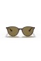 Ray-Ban RB4305 M (53 - 19) / Brown lenses and Tortoise frame Sunglasses