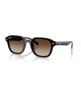Ray-Ban RB4458D XL (65 - 18) / Brown lenses and Brown frame Sunglasses