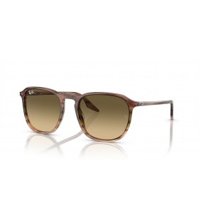 Ray-Ban RB2203 L (55 - 20) / Brown lenses and Brown frame Sunglasses