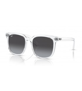Ray-Ban RB4401D XXL (57 - 20) / Grey lenses and Transparent frame Sunglasses