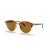 Ray-Ban RB4246 Clubround Classic M (51 - 19) / Brown lenses and Brown frame Sunglasses