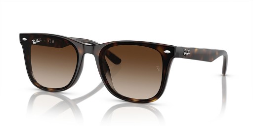 Ray-Ban RB4420 XL (65 - 18) / Marrom e lentes de Tartaruga armação Óculos de sol