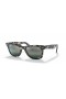 Ray-Ban RB2140 Wayfarer Original Chromance L (50 - 22) / Prata e lentes de Tartaruga armação Óculos de sol