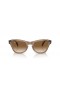 Ray-Ban RB0707S L (50 - 21) / Marrom com lentes Marrom e armação Óculos de sol