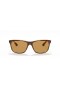Ray-Ban RB4181 M (57 - 16) / Marrom e lentes de Tartaruga armação Óculos de sol