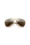 Ray-Ban RB3625 Novo Aviador L (58 - 14) / lentes Marrom e Ouro armação Óculos de sol