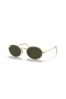 Ray-Ban RB3547 Oval de Metal M (51 - 21) / Verde lentes e moldura de Ouro Óculos de sol