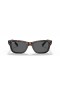Ray-Ban RB2283 Burbank XL (55 - 20) / lentes Cinza e Tartaruga armação Óculos de sol