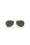 Ray-Ban RB3362 Cockpit M (56 - 14) / Verde lentes e moldura de Ouro Óculos de sol