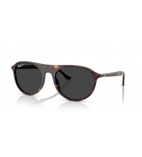 Ray-Ban RB2215 XL (56 - 20) / Preto lentes e Tartaruga armaÃ§Ã£o Ã“culos de sol