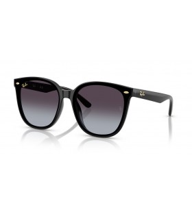 Ray-Ban RB4423D Ano Da Serpente Edição XL (66 - 15) / lentes Cinza e Preto armação Óculos de sol