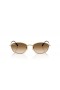 Ray-Ban RB3749 L (55 - 18) / Brown lionsaí agus Óir fráma Sunglasses