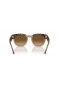 Ray-Ban RB0298S Mega Hawkeye L (53 - 21) / Brown lionsaí agus Turtar fráma Sunglasses