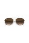 Ray-Ban RB3589 L (55 - 18) / lionsaí Donn agus Donn fráma Sunglasses