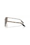 Ray-Ban RB2204 L (54 - 20) / lenti Marrone e Marrone frame Occhiali da sole
