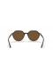 Ray-Ban RB2195 Thalia S (53 - 18) / lenti Brown Tortoise frame Occhiali da sole