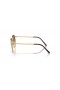 Ray-Ban RB3637 Nuovo Round XS (50 - 21) / lenti Marrone e Oro frame Occhiali da sole